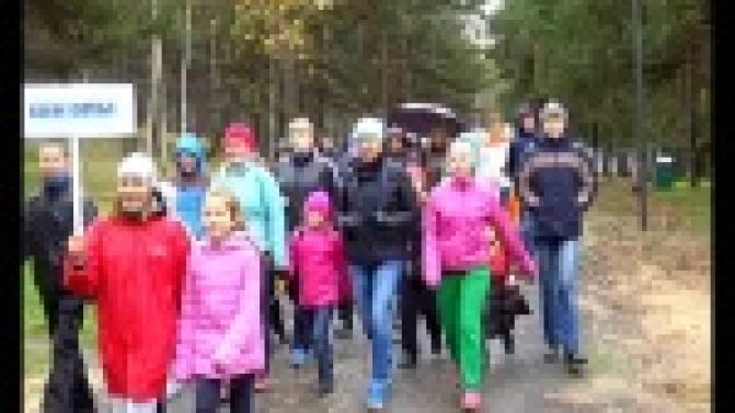 Всероссийский день ходьбы провели в Первоуральске.