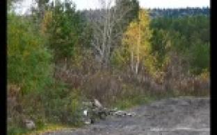 Страшная находка под Первоуральском.