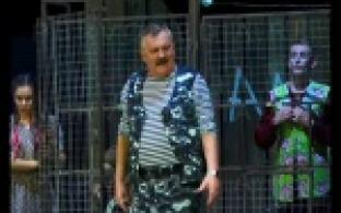 Говорящие коровы и лошади и вечная тема - право на жизнь должно быть у каждого.