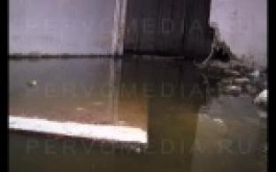 Терпеть вонь и сырость вынуждены жители одного из домов по улице Советской