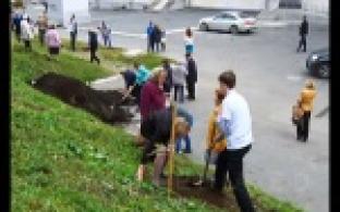 В Первоуральске появилась ещё одна дубовая аллея.