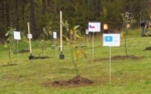 Аллея Мира появилась возле стелы "Европа-Азия"