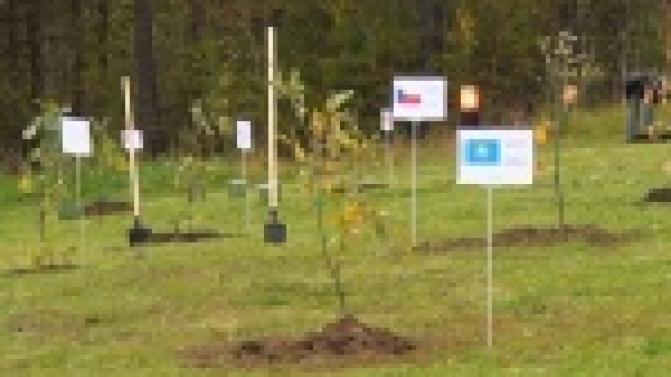 Аллея Мира появилась возле стелы "Европа-Азия"