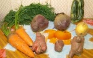 Огромные овощи, выращенные маленькими руками