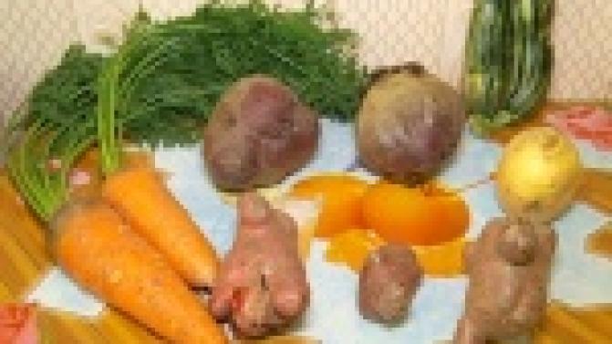 Огромные овощи, выращенные маленькими руками