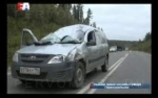 Под Первоуральском машина сбила лося, выскочившего на дорогу.