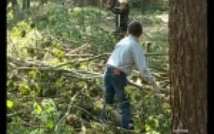 В отрядах мэра подвели летние итоги.