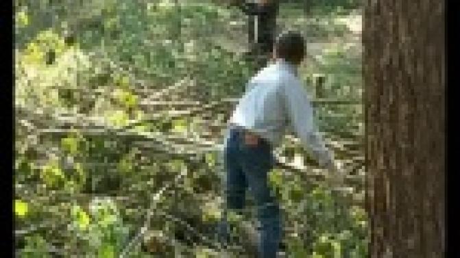 В отрядах мэра подвели летние итоги.