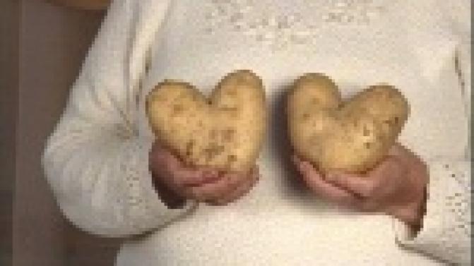 Любовь и картошка соединились в урожае одной из участниц конкурса "Во саду ли, в огороде"