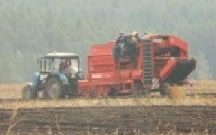 Как осенью потопаешь, так зимой полопаешь