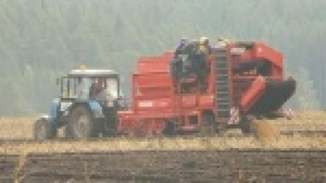 Как осенью потопаешь, так зимой полопаешь