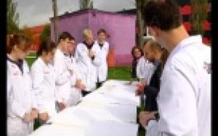 Творчески посмотреть на траекторию полёта птиц и запечатлеть это на бумаге