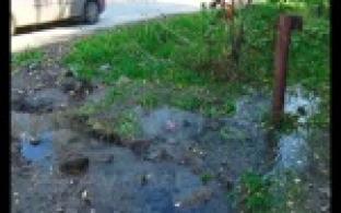 Течет ручей, бежит ручей