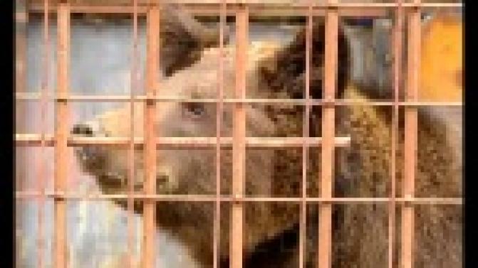 В Первоуральском зоопарке - пополнение.