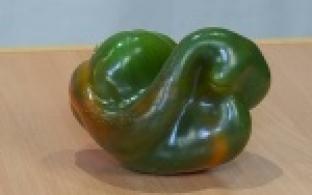 Картофель необычной формы вырастила у себя на участке жительница Первоуральска