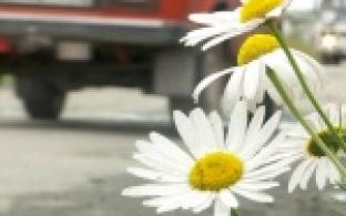 В Перворуалське не утихают споры о реконструкции улицы Дружбы