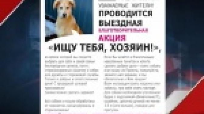 Делать добро может каждый