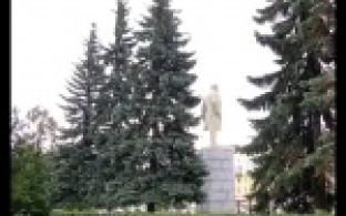 Судьба голубых елей на главной площади Первоуральска оказалась под вопросом