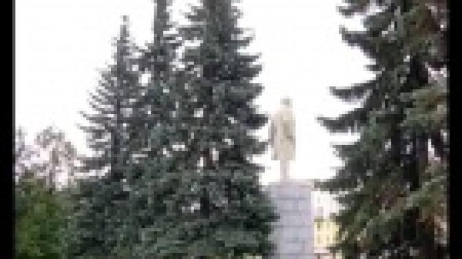 Судьба голубых елей на главной площади Первоуральска оказалась под вопросом