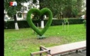 В Первоуральске нашли новый способ озеленения городских улиц.