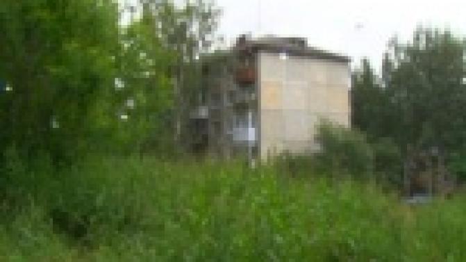 В квартире одной из жительниц города растет гриб