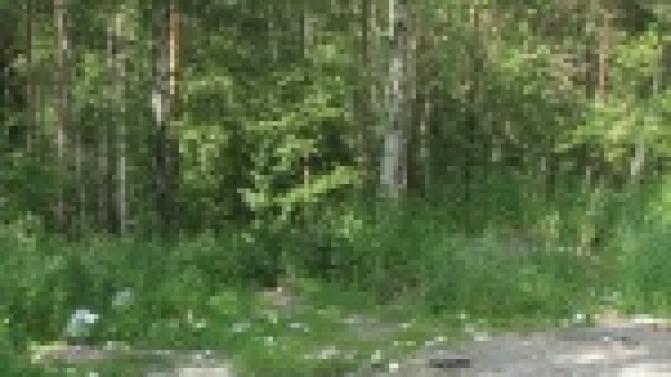 Новорожденного ребенка, найденного в конце июня в лесу, хотят удочерить сотни екатеринбуржцев