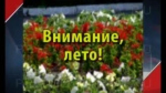 В Первоуральске позаботились о безопасности юных горожан