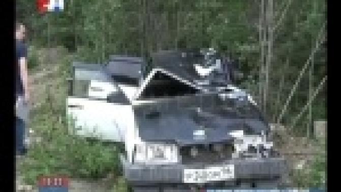 Лось вышел на дорогу, а водитель ВАЗа не успел соорентироваться. В итоге - страшная трагедия.