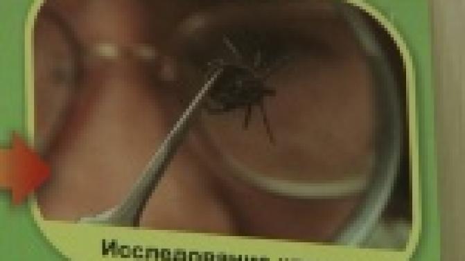 На рыбалке, в огороде или в парке можно пострадать от клещей