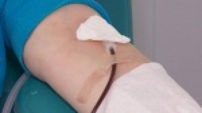 Первоуральские доноры не так давно отметили международный праздник