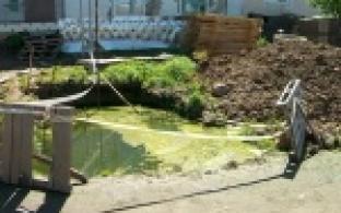 Огромная лужа с водорослями рядом с жилым домом