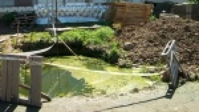 Огромная лужа с водорослями рядом с жилым домом