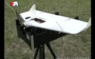 С высоты птичьего полёта