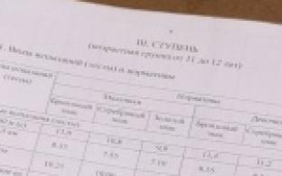 Первоуральские школьники достойно выполняют нормативы комплекса ГТО