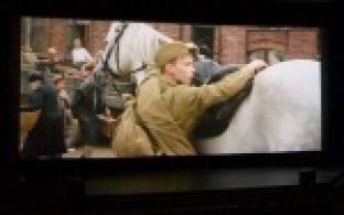 Кто в одиночку, кто с подругой, а кто-то целым классом на урок