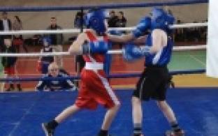 Первоуральские боксеры достойно провели бои памяти легендарного спортсмена и тренера Сергея Романова