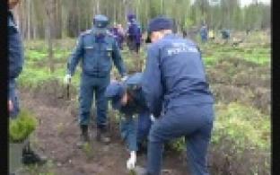 "Лес Победы" появился в Первоуральске.