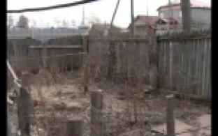 На тропе войны