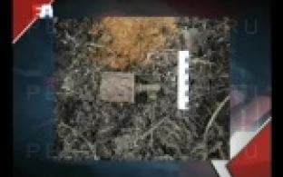 Чего только не найдешь на своем участке с началом садовых работ