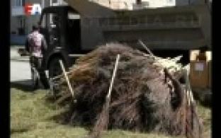 В Первоуральске стартовал "месячник чистоты".