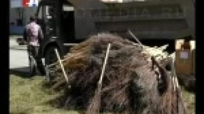 В Первоуральске стартовал "месячник чистоты".