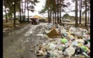 Лес в районе посёлка Талица исчезает под завалами мусорных гор