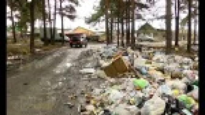 Лес в районе посёлка Талица исчезает под завалами мусорных гор