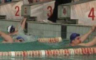 Соревнование по плаванию среди сотрудников налоговых органов.