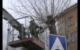 В Первоуральске продолжают кронировать деревья.