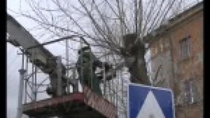 В Первоуральске продолжают кронировать деревья.