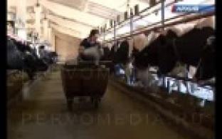 В новый этап - без проблем