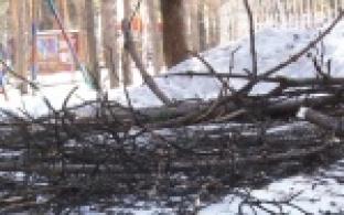 Красота и безопасность.