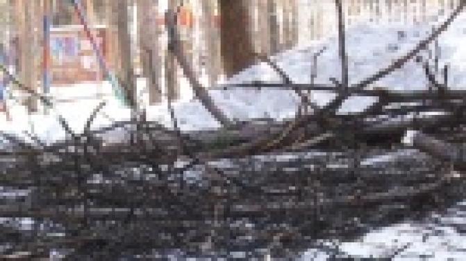 Красота и безопасность.