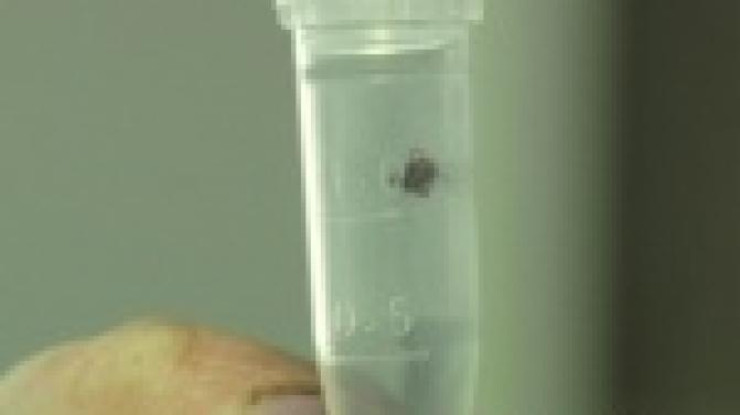 Весна идёт - клещи не дремлют!